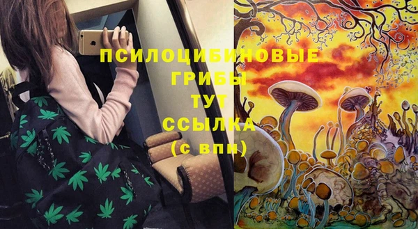 мет Алзамай