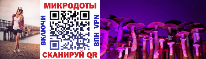 Псилоцибиновые грибы ЛСД Северская